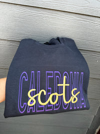 Custom Monotone School Spirit Embroidered Sweatshirt