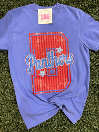 Panthers B Stripe Star Comfort Color Tee