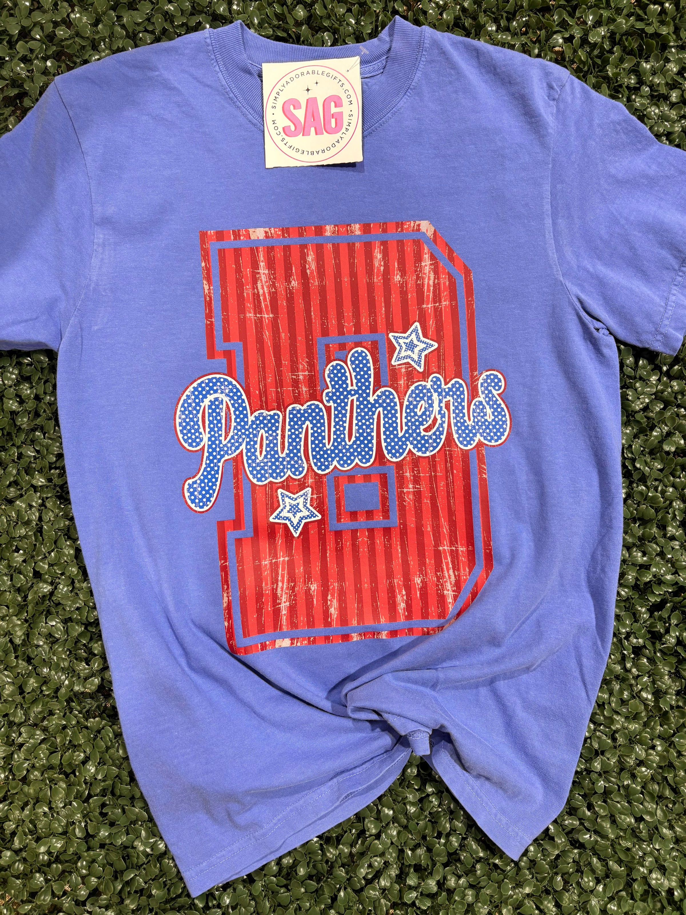 Panthers B Stripe Star Comfort Color Tee