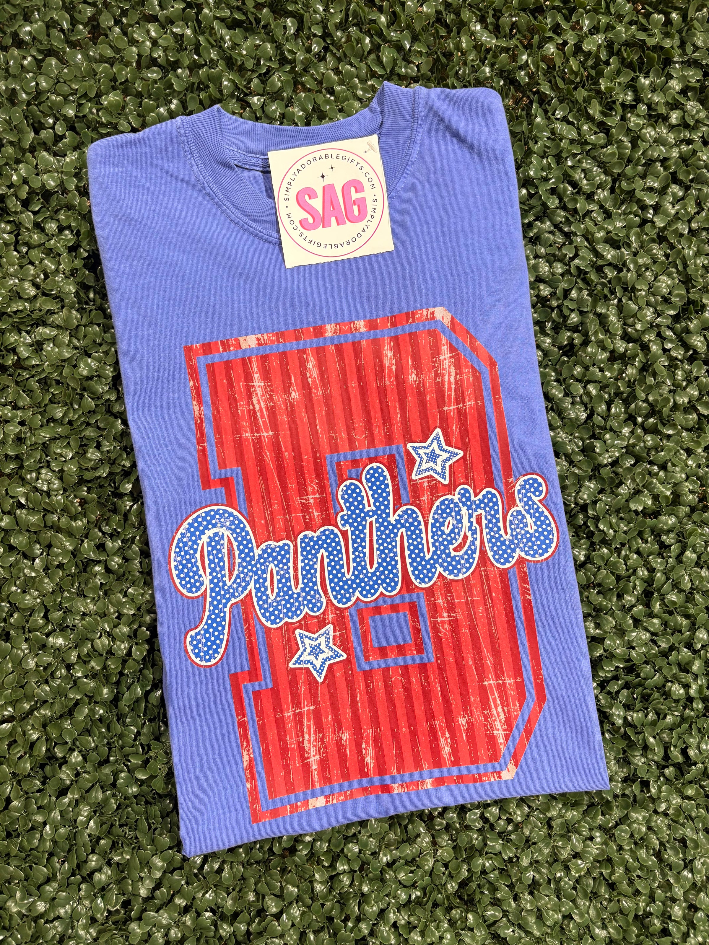 Panthers B Stripe Star Comfort Color Tee