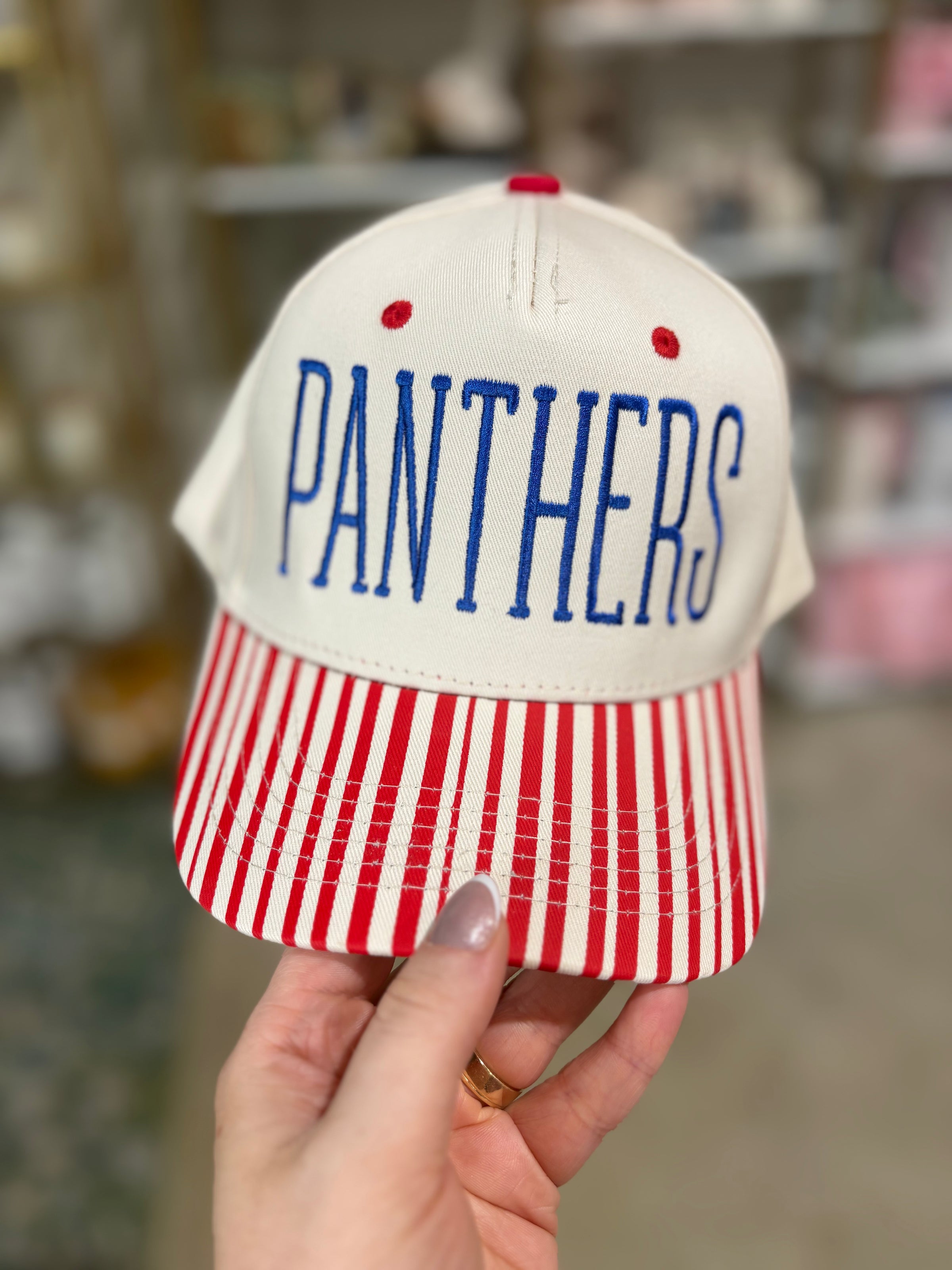 Panthers Stripe Bill Hat